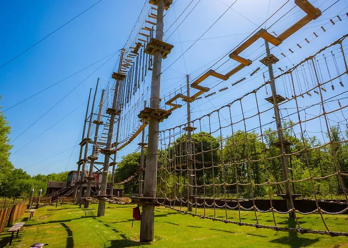 Domek alpejski Boshuisje Woodsy 6pers - Nabij Toverland Sevenum