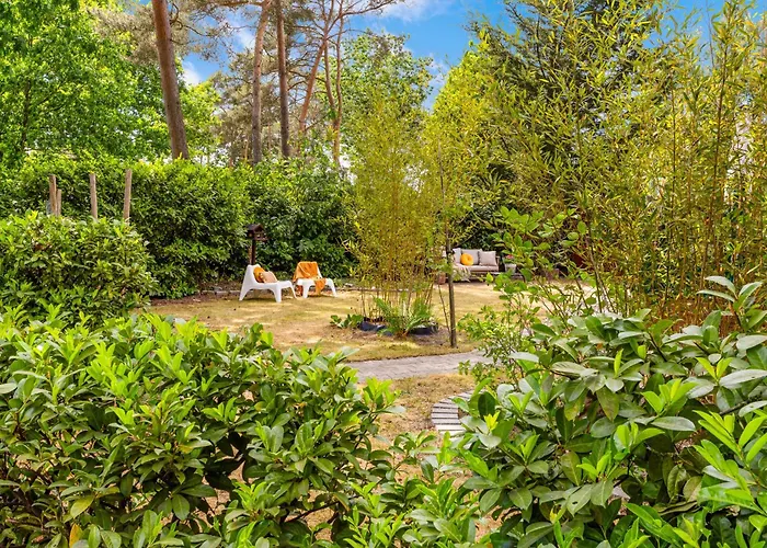 Boshuisje Woodsy 6pers - Nabij Toverland Sevenum